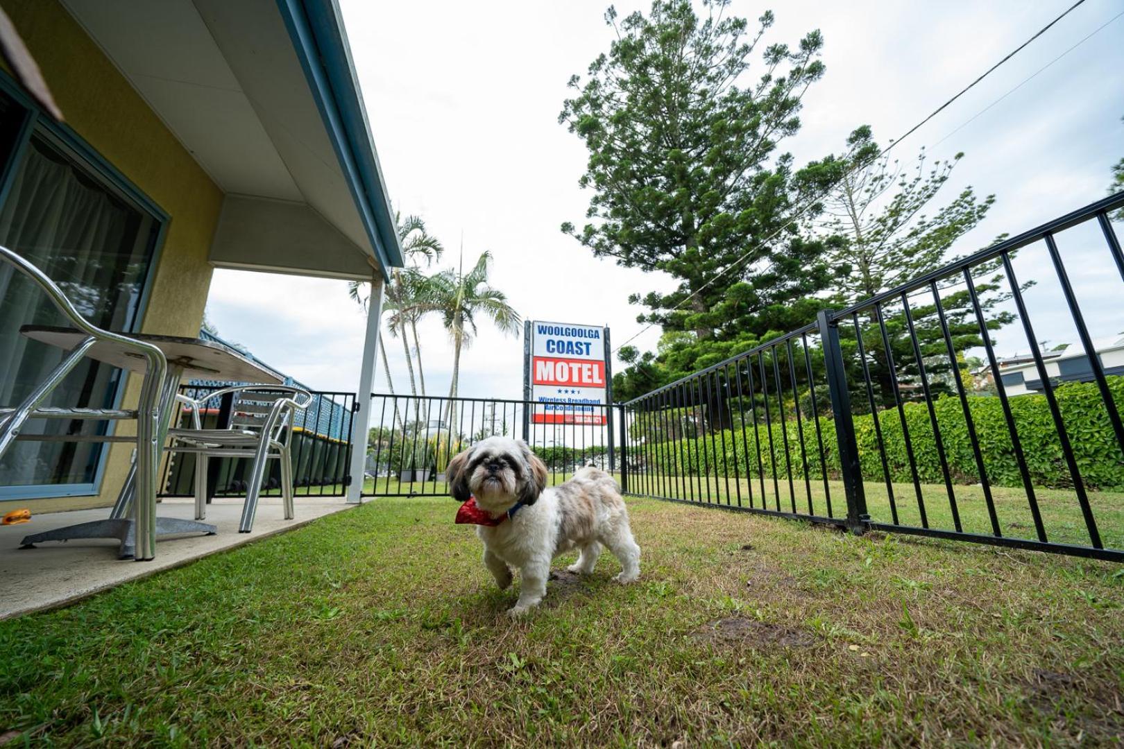 Woolgoolga Coast Motel Zimmer foto